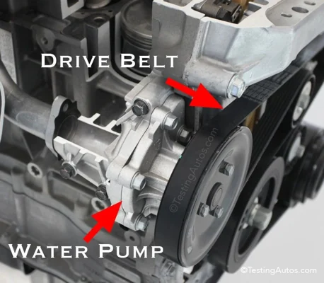 Water-pump illustration
